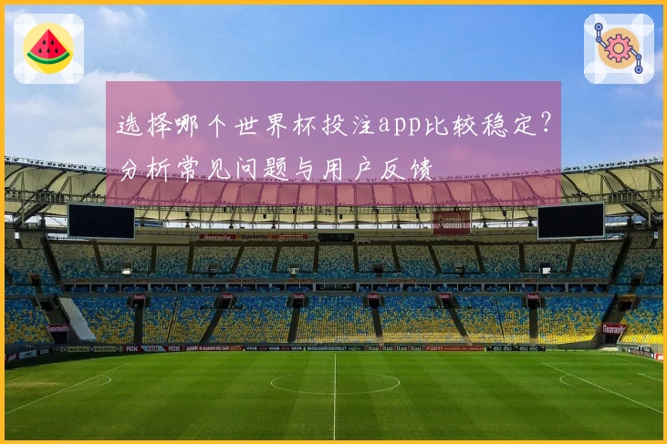 选择哪个世界杯投注app比较稳定？分析常见问题与用户反馈