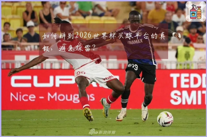 如何辨别2026世界杯买球平台的真假，避免踩雷？