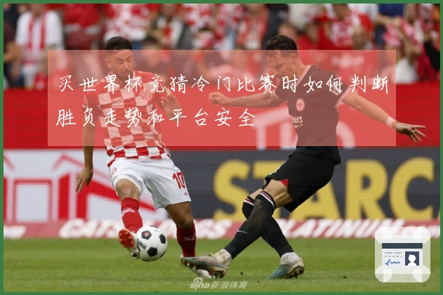 买世界杯竞猜冷门比赛时如何判断胜负走势和平台安全