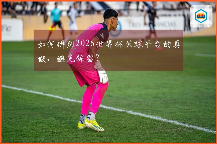 如何辨别2026世界杯买球平台的真假，避免踩雷？