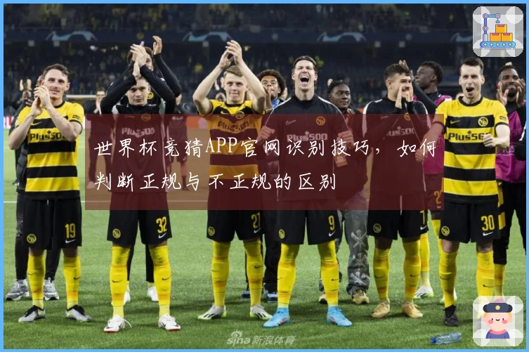世界杯竞猜APP官网识别技巧，如何判断正规与不正规的区别