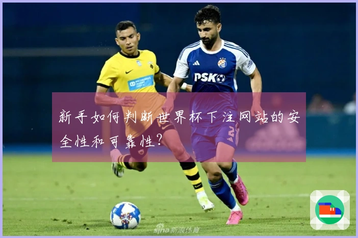 新手如何判断世界杯下注网站的安全性和可靠性？