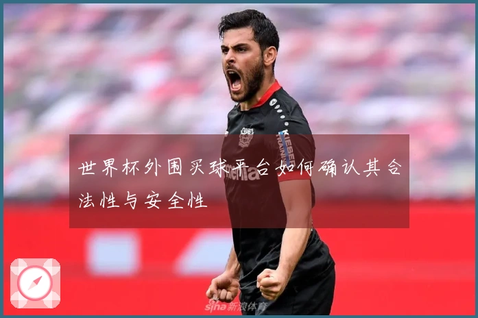 世界杯外围买球平台如何确认其合法性与安全性