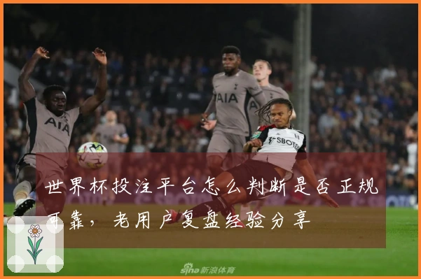 世界杯投注平台怎么判断是否正规可靠，老用户复盘经验分享