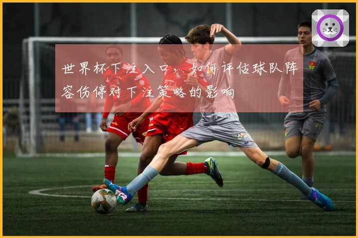 世界杯下注入口，如何评估球队阵容伤停对下注策略的影响