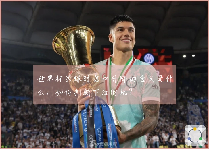 世界杯买球时盘口升降的含义是什么，如何判断下注时机？