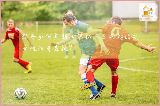 新手如何判断世界杯下注网站的安全性和可靠性？